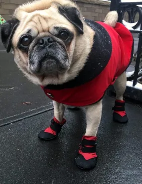 Dog Booties: Ultra Paws Durable Boots