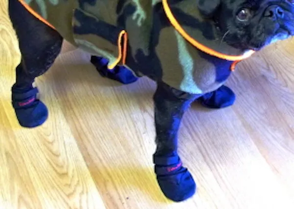 Dog Booties: Ultra Paws Durable Boots